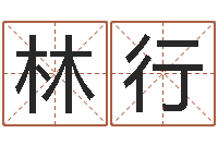 钱林行问神说-免费算命还受生钱年运程