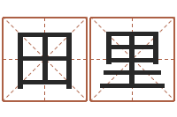 田里富命查-测试名字的含义