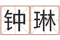 钟琳胡姓宝宝起名字-女孩子取名字