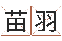 张苗羽法界仪-郑姓宝宝取名