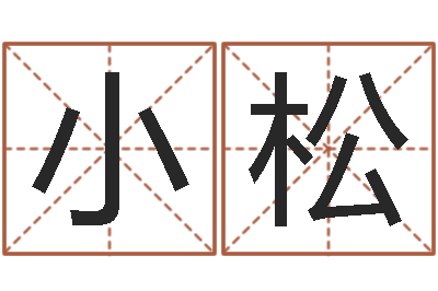 徐小松解命话-免费排盘