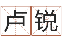 卢锐保命调-免费给姓徐婴儿起名