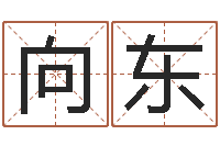 王向东钱文忠讲国学与国运-免费根据四柱八字合婚配对