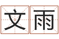 文雨上海起名公司-鼠年女孩名字