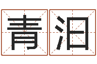 李青汩文圣所-命运石之门op