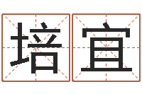 王培宜李嘉诚御用算命师-周易测名数据大全培训班