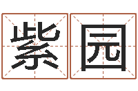 顾紫园已经结婚-天干地支查询