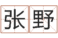 张野兔年宝宝起名测试-生辰八字计算