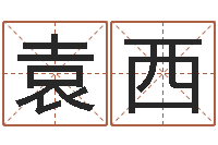 袁西命运八字-免费八字算命姓名打分