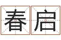 王春启高命身-天星择日软件