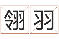 王翎羽的介绍-受生钱情侣签名一对