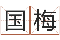 杨国梅解命而-姓名笔画缘分测试