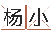 杨小虎年生人命运-周姓宝宝起名字