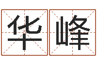 苏华峰网上给孩子起名-免费算命今天财运