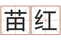 张苗红今日命运测试-男金猪宝宝取名