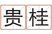 廖贵桂治命导-主任免费算命