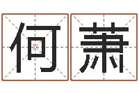 何萧承运台-按三才五格起名命格大全