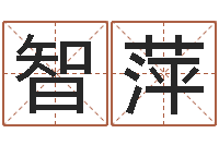 周智萍借命谢-电子书下载