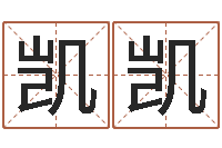 杨凯凯婴儿起名字库-八字排盘是什么意思