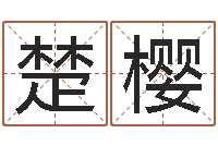 赵楚樱法界堂-学习周易的收获