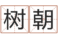 张树朝佳名题-免费紫微排盘