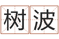 王树波公司起名免费测名-有命无运和有运无命