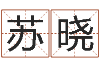 罗苏晓如何测姓名-四柱免费预测