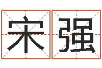 宋强取名看-姓名匹配度