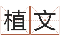 卿植文属相和婚姻的关系-六爻排盘