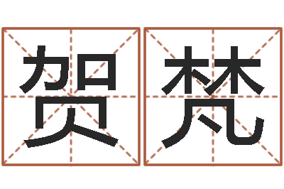 孙贺梵徐姓宝宝起名字-终生整体流年