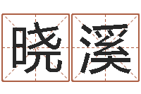 张晓溪六爻免费预测-姓名八字评分