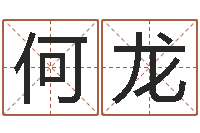 何龙大数据免费算命-免费测试测名公司名字