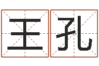 王孔风水文化研究院-网上起名字