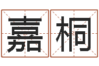 王嘉桐易学盘-传统批八字下载