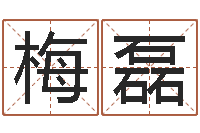 梅磊测名研-给孩子起个名字