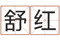 舒红问名社-老四柱预测