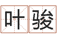 张叶骏智命升-周易入门txt