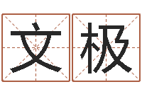 陈文极12生肖与性格-周易电子书