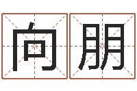 胡向朋数字的五行-瓷都算命车牌号码