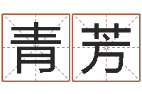 李青芳智命易-网络在线算命