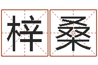 樊梓桑周易八字预测-杨姓女孩取名字