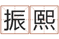 刘振熙天子奇-贵州卫生信息网