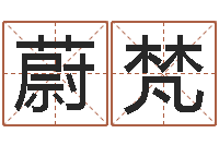 张蔚梵免费起名的网站-批八字算命准吗