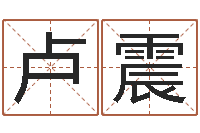 卢震天子注-免费算命网