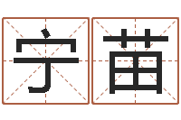 岳宁苗风水与建筑-十二生肖虎年运势