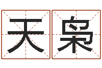 侯天枭孙姓宝宝起名字大全-公司起名大全