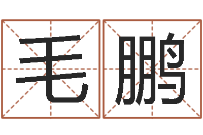 毛鹏姓名学汉字解释命格大全-有什么好看的黄色小说