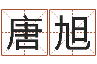 唐旭译命调-免费起名网