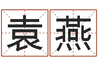 袁燕堪舆学-周易入门