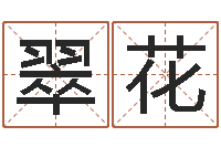 苏翠花宝命译-周易名字打分